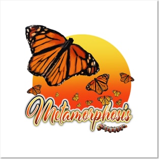 Monarch Butterfly Metamorphosis Posters and Art